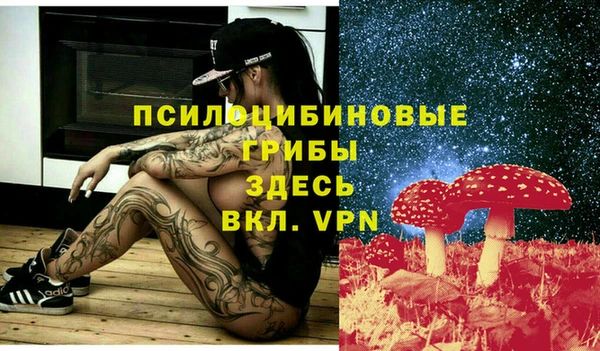 Альфа ПВП Бердск