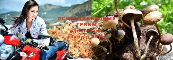 MDMA Premium VHQ Ачинск