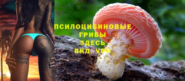 кокс Мегион