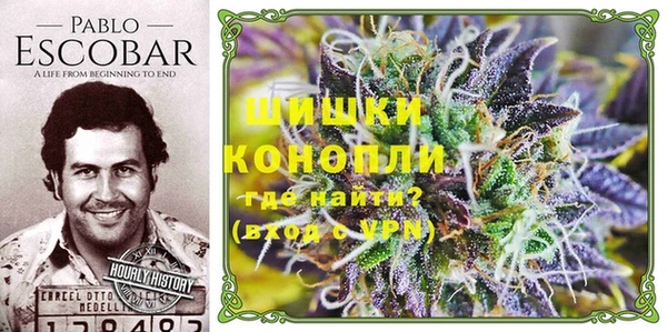 кокс Мегион