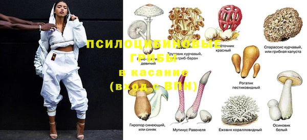 скорость Богородицк