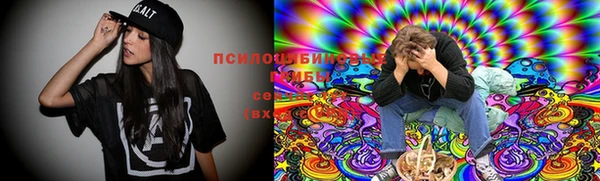 mdma Медвежьегорск