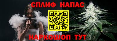 СК Балашиха