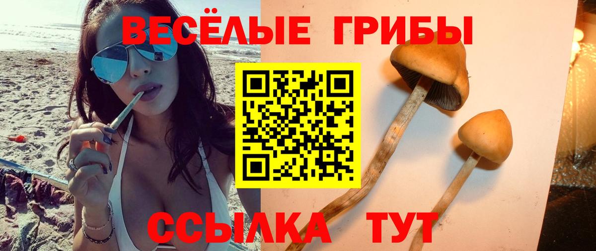 Псилоцибиновые грибы GOLDEN TEACHER Петропавловск-Камчатский