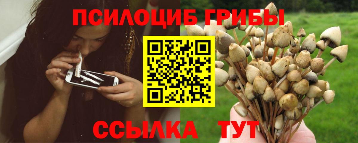 Cocaine Петропавловск-Камчатский