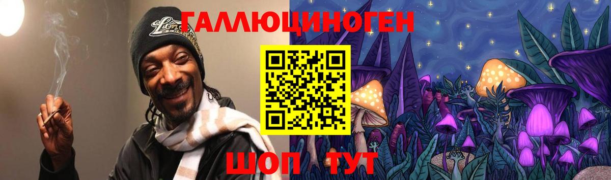 где продают   Петропавловск-Камчатский  Псилоцибиновые грибы Cubensis 